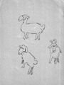 Бараны и овцы, 2002
